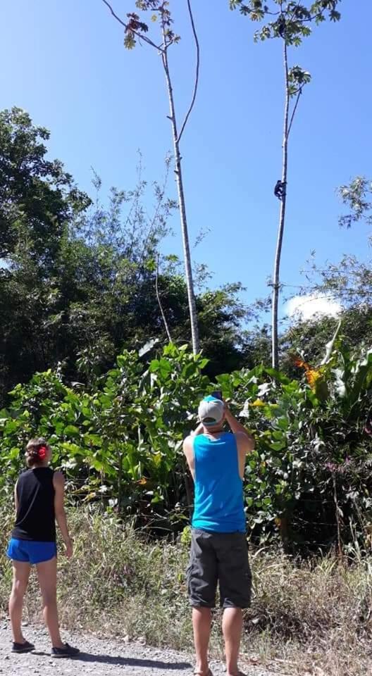 Into The Greens Madre de Dios Exterior photo